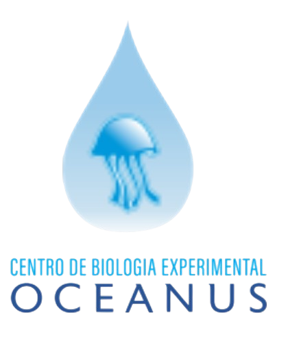 Oceanus — cliente DC Produções